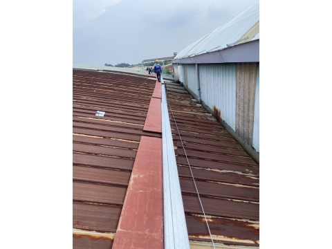 INTERFOOD - DONG NAI