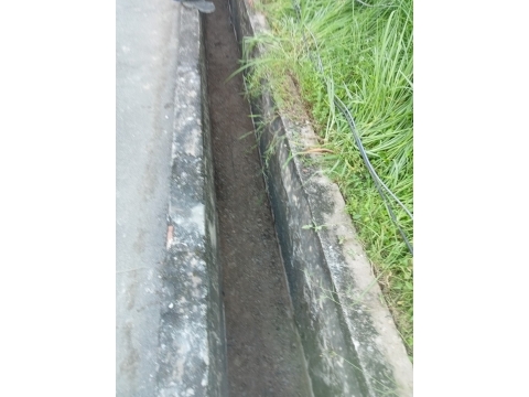 INTERFOOD - DONG NAI