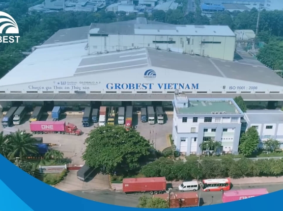 GROBEST - DONG NAI